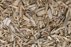 biomass boilers Far Cotton